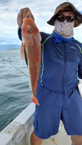 遊漁船　ニライカナイ 釣果