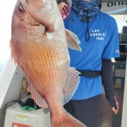 遊漁船　ニライカナイ 釣果