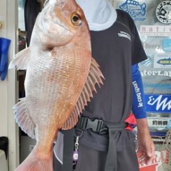 遊漁船 ニライカナイ 釣果