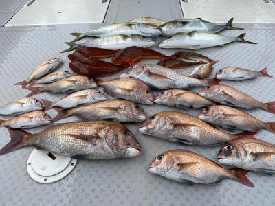 ミタチ丸 釣果