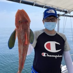 遊漁船 ニライカナイ 釣果