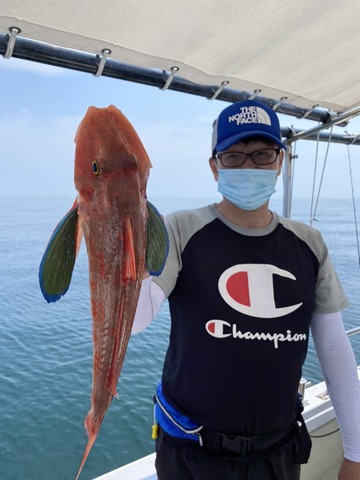 遊漁船 ニライカナイ 釣果