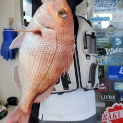 遊漁船　ニライカナイ 釣果