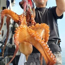 遊漁船 ニライカナイ 釣果