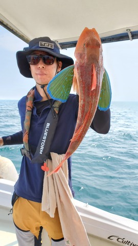 遊漁船 ニライカナイ 釣果