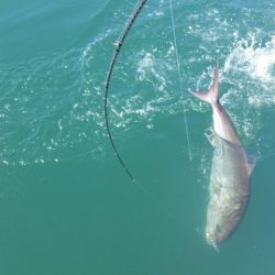 第五慶門丸 釣果