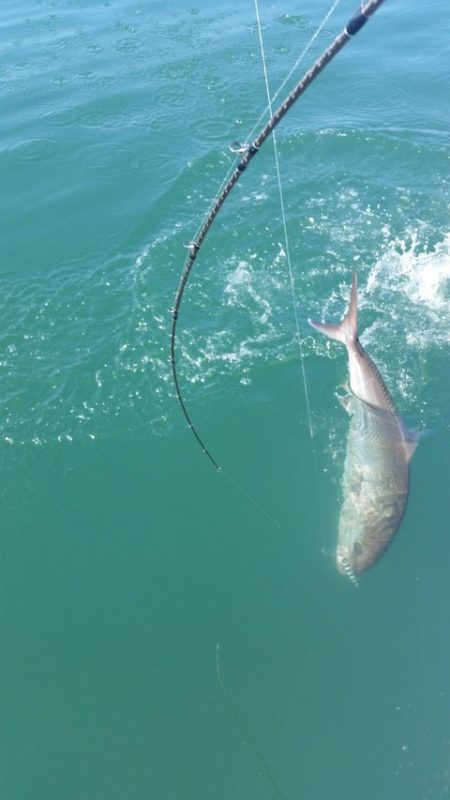 第五慶門丸 釣果