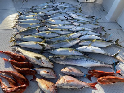 ミタチ丸 釣果