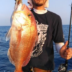 遊漁船 新鋭丸 釣果