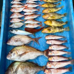 まるいち丸 ZERO-1 釣果