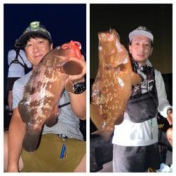 シーマジカル 釣果