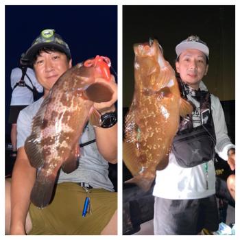 シーマジカル 釣果