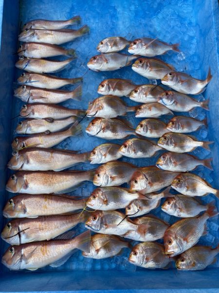 まるいち丸 ZERO-1 釣果