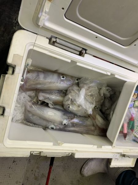 第八大安丸 釣果