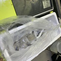 第八大安丸 釣果