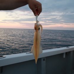 まるいち丸 ZERO-1 釣果