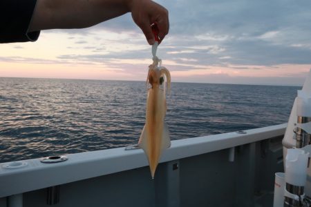 まるいち丸 ZERO-1 釣果