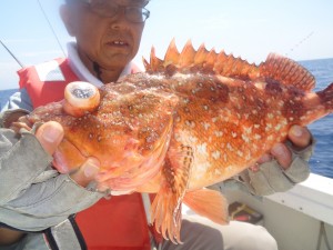 兼六丸 釣果