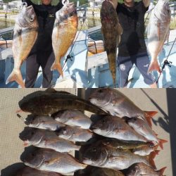 千秀丸 釣果