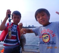 鹿島港魚釣園 釣果