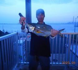 鹿島港魚釣園 釣果