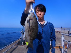 鹿島港魚釣園 釣果