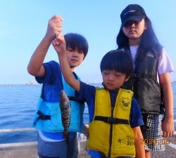 鹿島港魚釣園 釣果