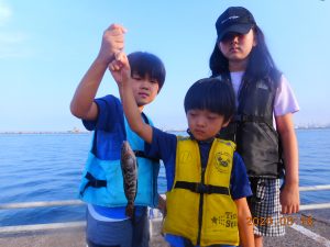 鹿島港魚釣園 釣果