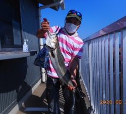 鹿島港魚釣園 釣果