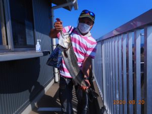 鹿島港魚釣園 釣果