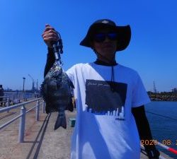 鹿島港魚釣園 釣果