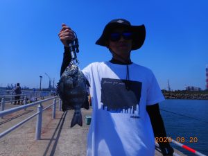 鹿島港魚釣園 釣果