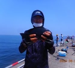 鹿島港魚釣園 釣果