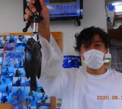 鹿島港魚釣園 釣果