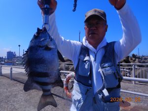 鹿島港魚釣園 釣果