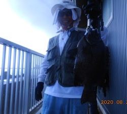 鹿島港魚釣園 釣果