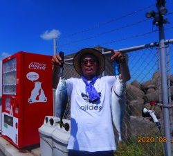 鹿島港魚釣園 釣果