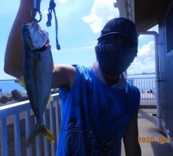 鹿島港魚釣園 釣果