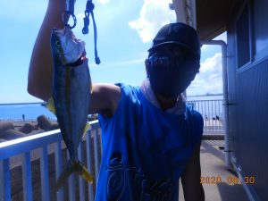 鹿島港魚釣園 釣果