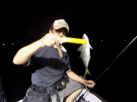 フィッシングボート空風(そらかぜ) 釣果