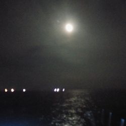 フィッシングボート空風(そらかぜ) 釣果