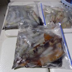 フィッシングボート空風(そらかぜ) 釣果