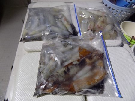 フィッシングボート空風(そらかぜ) 釣果