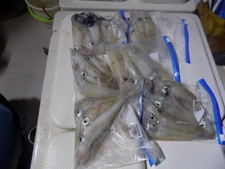 フィッシングボート空風(そらかぜ) 釣果