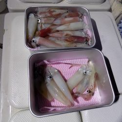 フィッシングボート空風(そらかぜ) 釣果