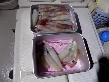 フィッシングボート空風(そらかぜ) 釣果