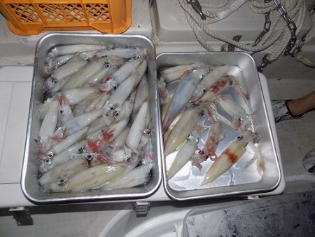 フィッシングボート空風(そらかぜ) 釣果