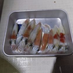 フィッシングボート空風(そらかぜ) 釣果