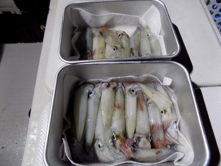 フィッシングボート空風(そらかぜ) 釣果