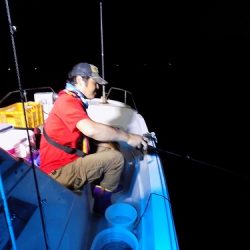 フィッシングボート空風(そらかぜ) 釣果
